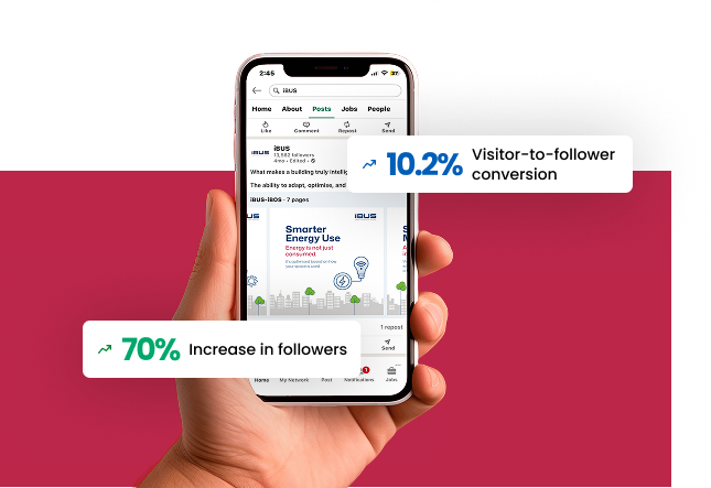 iBUS LinkedIn Growth Strategy